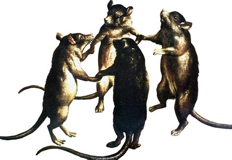 The Rat's Bridegroom! A Tale of Deception and Unexpected Wisdom from 17th Century Egypt.